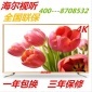 海尔视听**32寸液晶电视机55寸42寸60寸65寸75寸4K智能LED电视